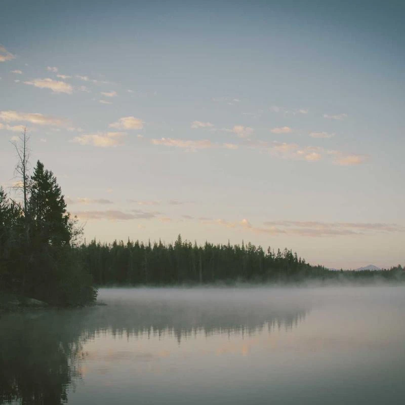 MEDIHEAL Hyper Collagen Mask Sheet 4ea