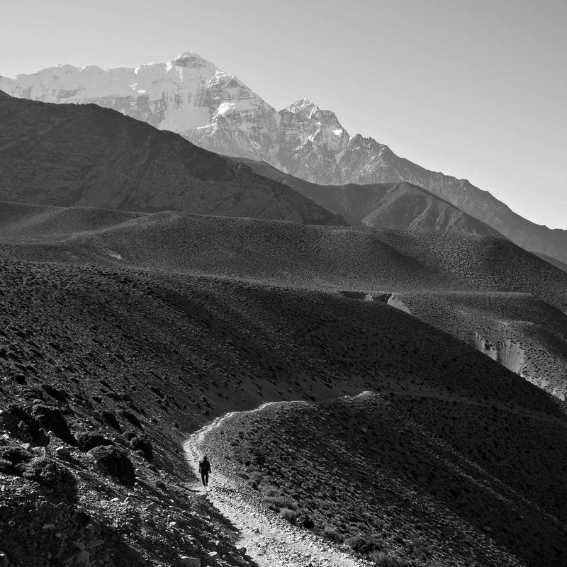 [ESTHER BUNNY EDITION] ilso Natural Mild Clear Nose Patch 5P