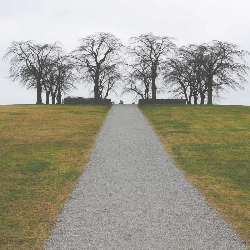 Haruharu wonder Black Rice Probiotics Barrier Essence 120ml