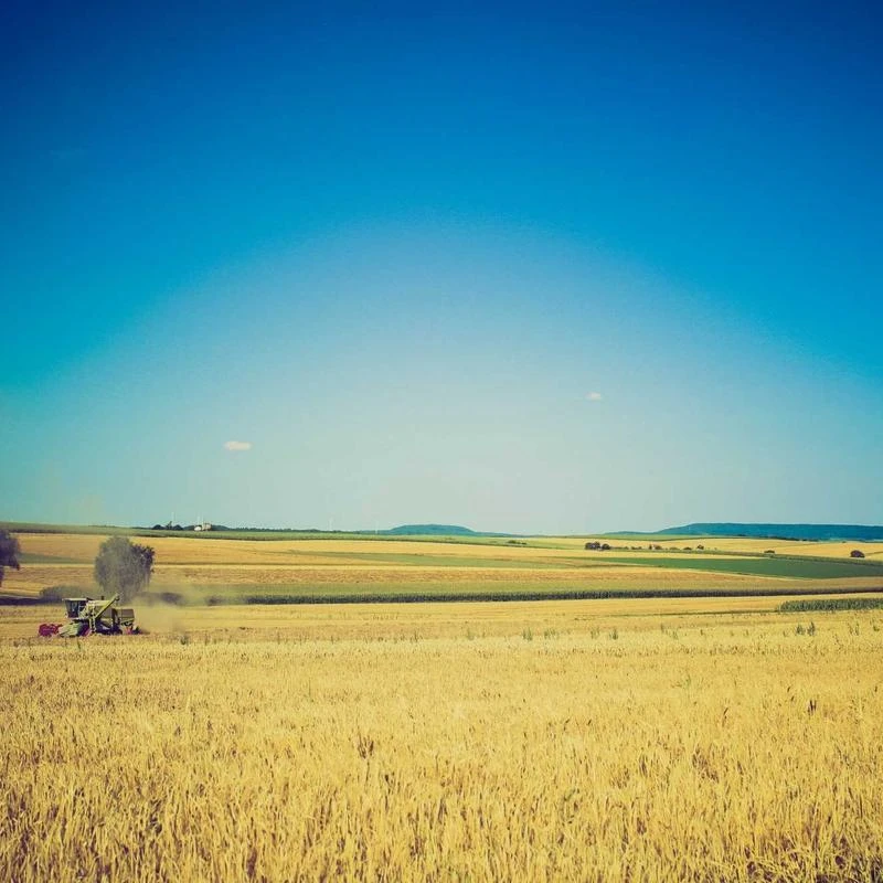 Delight project Garlic Butter Bagel Chips 125g Limited Set