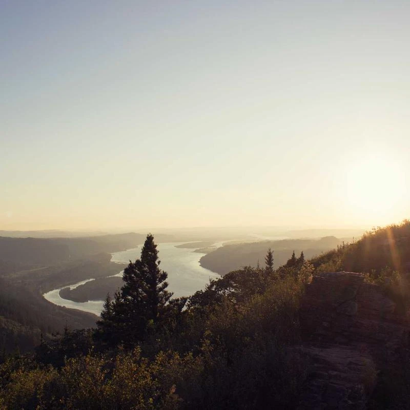 Johnson's Baby Naturally Derived Cornstarch Baby Powder with Aloe and Vitamin E for Delicate Skin， Hypoallergenic and Free of Parabens， Phthalates， and Dyes for Gentle Baby Skin Care， 1.5 oz
