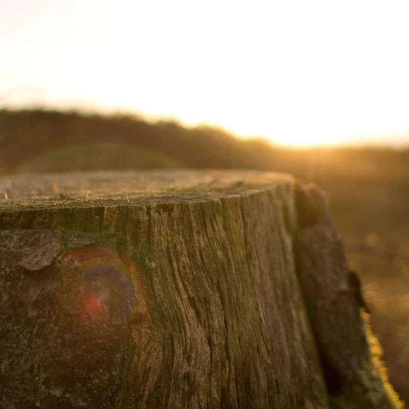 Pendant Necklaces for Women， Hollow Rotating Bead Luminous Moon Pendants， Luminous Enchanted Moonstone Necklace， Birthday Anniversary Jewelry Gift， 8.0 grams