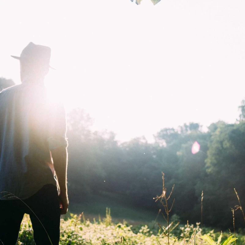 Desimtion Sterling Silver Heart Rose Necklaces for Women,Birthday Mothers Day Jewelry Gifts for Her Girlfriend Wife Mom