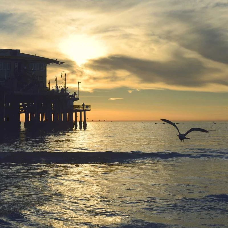 VNS Creations 100 pack Thank You Cards with Envelopes & Stickers - Classy 4x6 Blank Thank You Cards Bulk Box Set - Large Thank You Notes for Wedding, Small Business, Baby & Bridal Shower (Navy Blue)