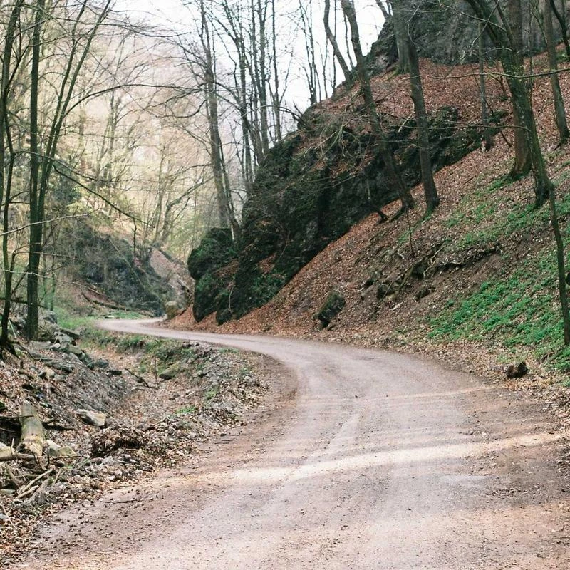 Bliss Collections Monthly Planner, "You've Got This", Undated Desk Calendar and Planner for Organizing and Scheduling Tasks, Productivity Tracker, Goals, Notes and To-Do Lists, 12"x18" (18 Sheets)