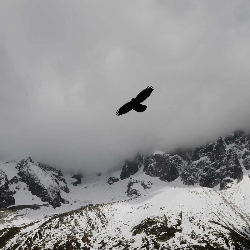 Blue Sky 2022 Monthly Planner, January 2022 - December 2022, 8" x 10", Frosted Flexible Cover, Wirebound, Rue Du Flore (101605-22)