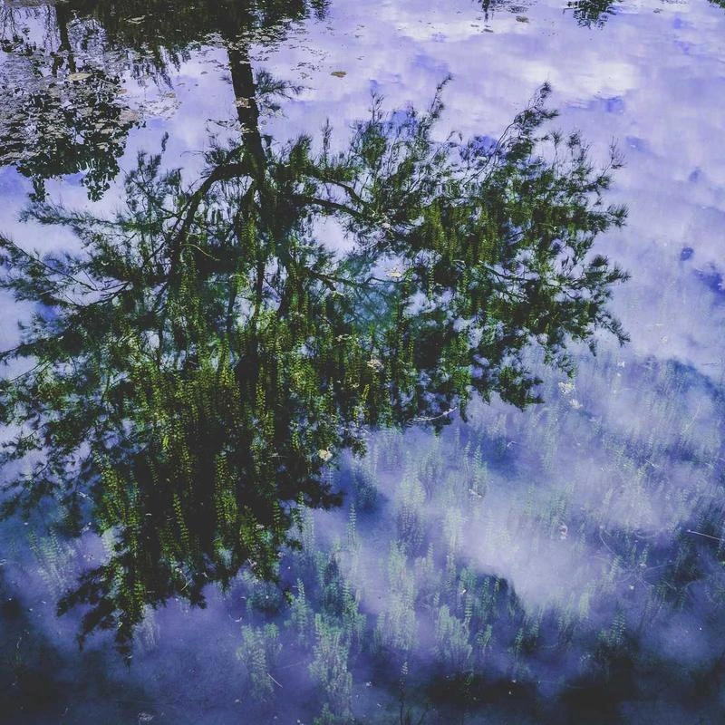 Metronic Bubble Mailers 6x10 Inch 100 Pack, Gold Heart Poly Bubble Mailers,Cute Padded Envelopes Self-Seal, Waterproof, Cushioning for Small Items,Jewelry Makeup Supplies, Shipping,Packaging Bulk#0