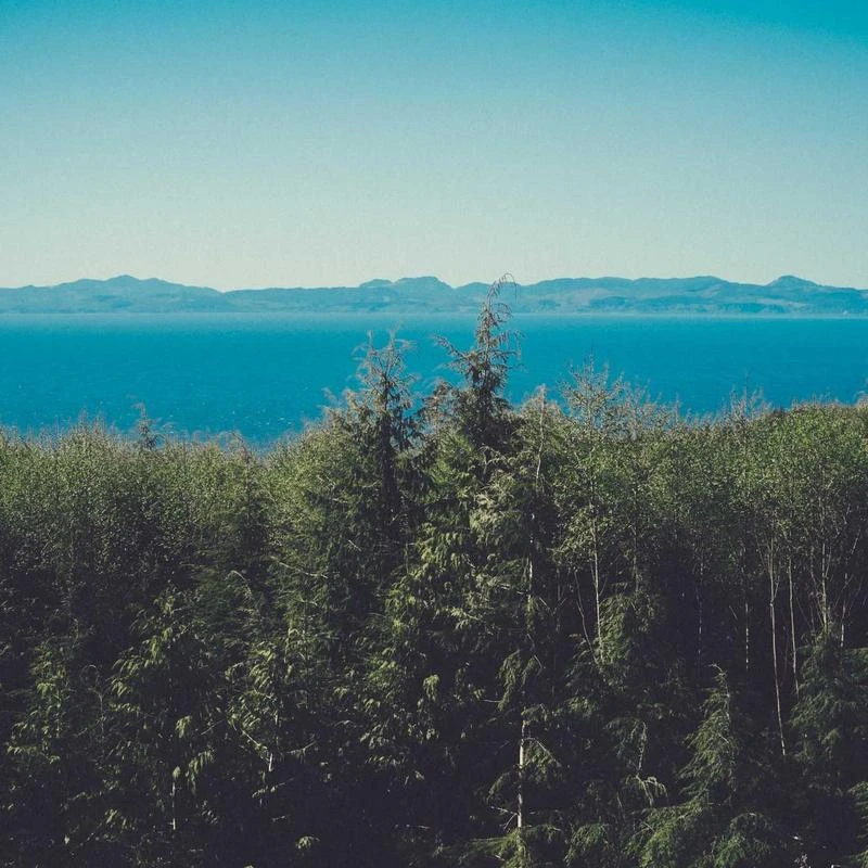 Google Wireless Charger Pixel 3, Pixel 3XL - White