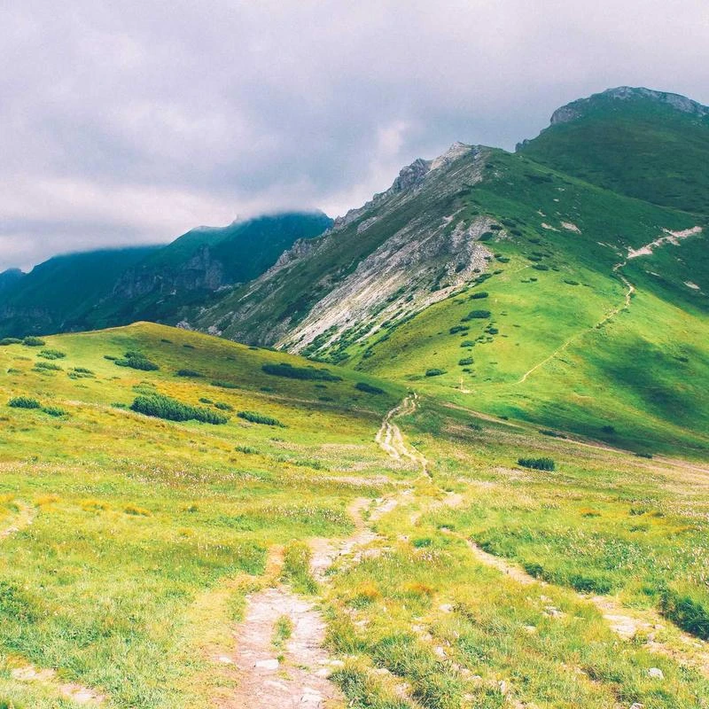 TOZO W1 Wireless Charger 10W Thin Aviation Aluminum Computer Numerical Control Technology Fast Charging Pad Black (NO AC Adapter)