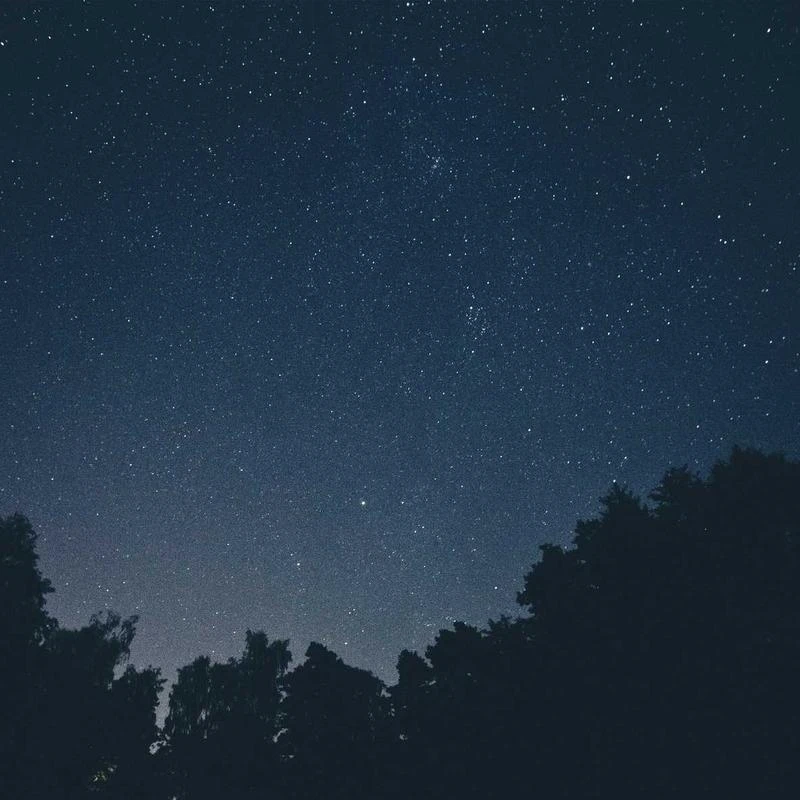 LASETA Tights for Women 120D Control Top Opaque Pantyhose for Winter 2 Pairs