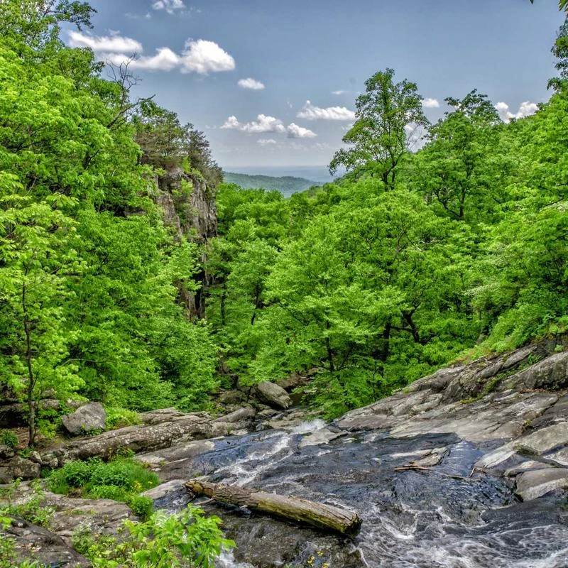 SOLY HUX Women's Satin Pajama Set 4pcs Floral Lace Trim Cami Lingerie Sleepwear with Robe