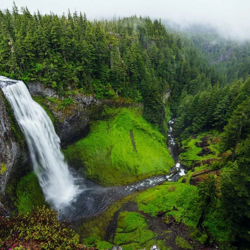 Burberry Ladies Black Crystal Fringe Detail Stretch Jersey Leggings