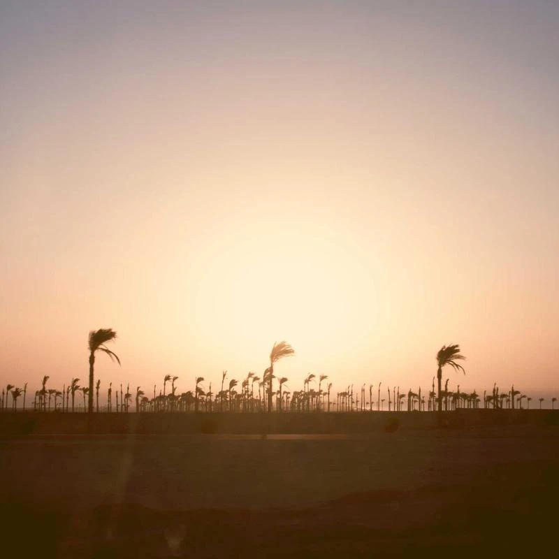 BURBERRY Ladies Embellished Leopard Silk Dress, Brand Size 8 (US Size 6)