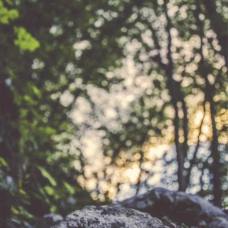 BURBERRY Ladies Pecan Melange Single-Breasted Blazer Jacket, Brand Size 6 (US Size 4)