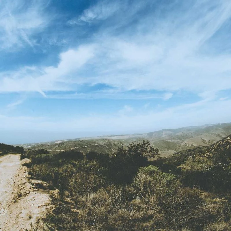 BURBERRY Ladies Charcoal Grey Straight Cashmere Trousers, Brand Size 4 (US Size 2)