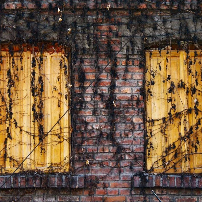 BURBERRY Black Silk Satin Studded Tailored Trousers, Brand Size 10 (US Size 8)