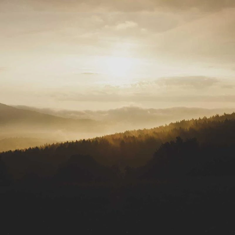 BURBERRY Flag Intarsia Asymmetric Silk Dress in Black, Brand Size 8 (US Size 6)