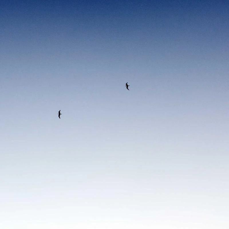 Kobelli Antique Style Floral Diamond Bridal Set 1 1/2 CTW in 14k White Gold