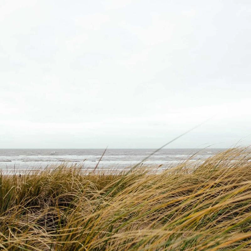 VVS Certified Antique Square Design 18K White Gold/Yellow Gold/Rose Gold With 1.58 Carat Round Shape Natural Diamond Wedding Ring For Men