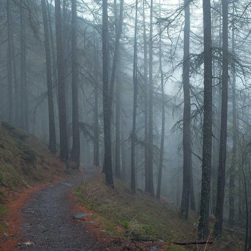 WYBFZTT-188 Antique Bronze Casting Animal Statue Sculpture Wild Animal Roaring Lion Figurines for Indoor Decoration