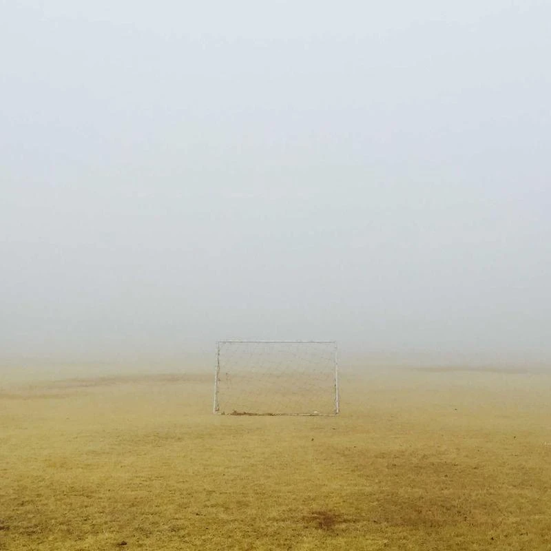 n/a Antique Bronze Casting Animal Statue Sculpture Wild Animal Roaring Lion Figurines for Indoor Decoration