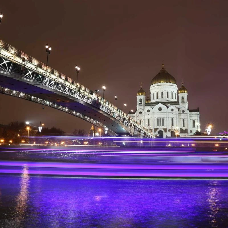 ZLXDP Antique Bronze Casting Animal Statue Sculpture Wild Animal Roaring Lion Figurines for Indoor Decoration