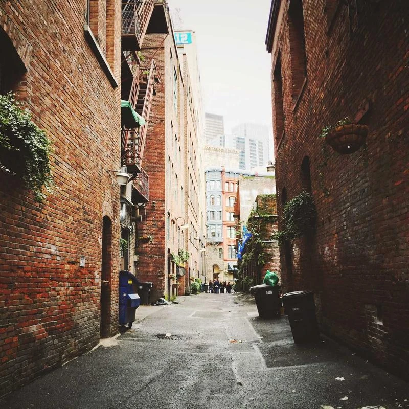 ZSEDP Orange Antique Porcelain Collection of Enamel Colored Flower and Bird Square Antique Porcelain