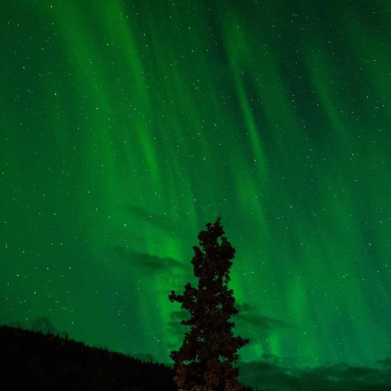 MAGCOMSEN Men's Stand Collar PU Faux Leather Jacket 6 Pockets Motorcycle Bomber Jacket with a Removable Hood