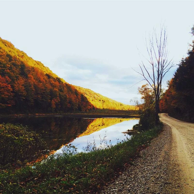 BAMBOO COOL Men's Underwear Boxer Briefs Pack Bamboo Viscose Soft Breathable Long Underwear Trunks