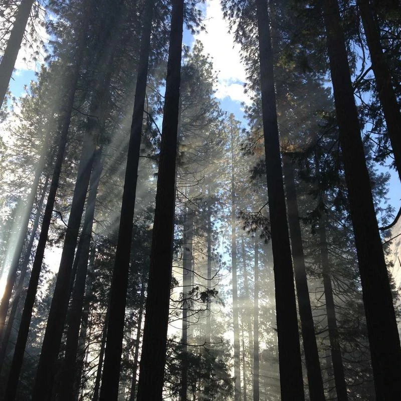 BURBERRY Ladies Grey Melange Technical Linen Blazer with Crystal Embroidery, Brand Size 6 (US Size 4)