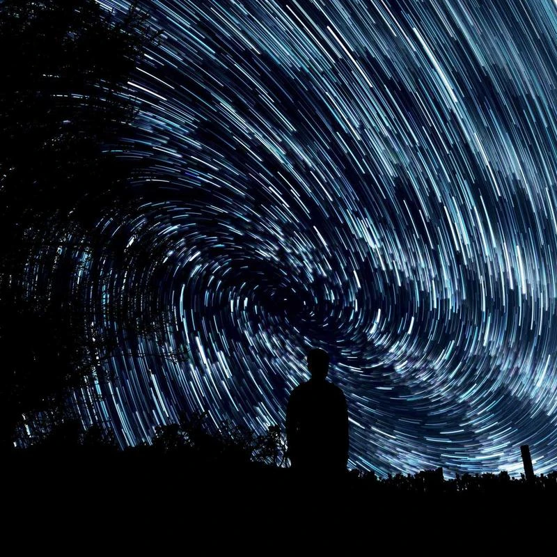 BURBERRY Ladies Monogram Print Silk Pleated Skirt, Brand Size 6 (US Size 4)