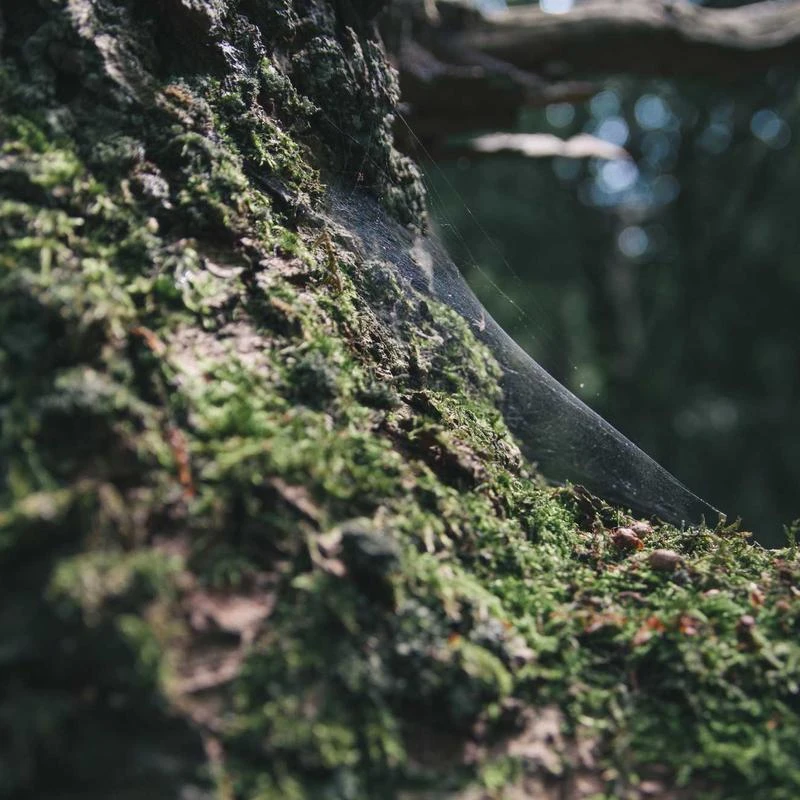 BURBERRY Black Studded Leather Trousers With Zip-detail, Brand Size 4 (US Size 2)