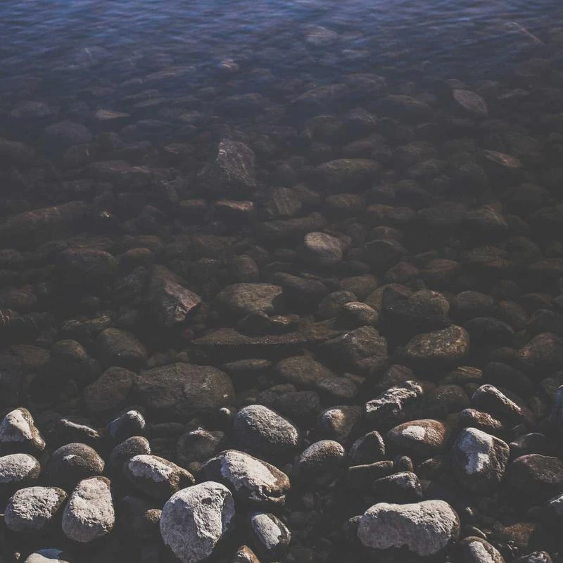 BURBERRY Nahla White Polka-dot and Scalloped Lace Tulle Dress, Brand Size 6 (US Size 4)