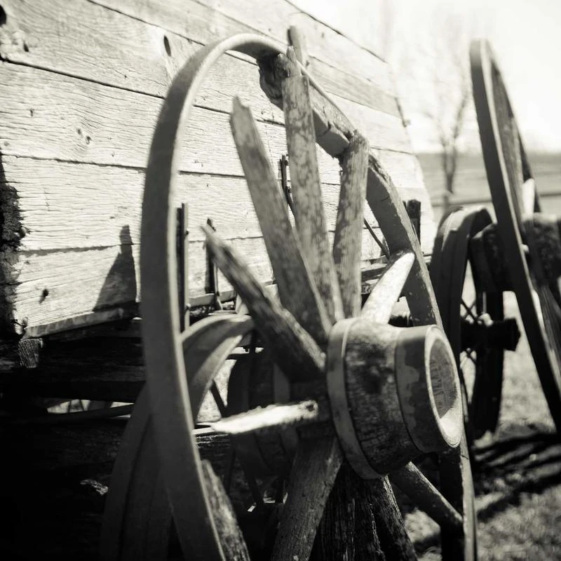 BURBERRY White Ring-Pierced Striped Stretch Jersey Mini Dress, Size X-Large