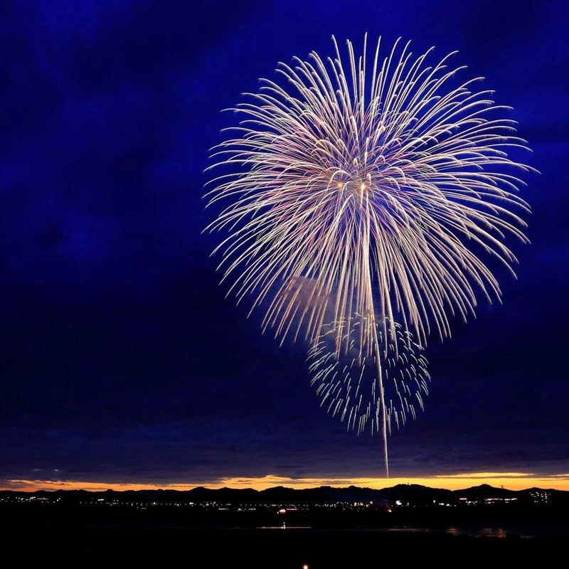 BURBERRY Ladies Animal Print Shirt-Style Dress, Brand Size 10 (US Size 8) Dark Mustard