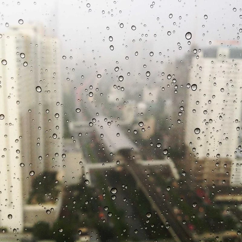 Walnut Cashmere Sweater Women Polo V Neck Set Knitting Loose Casual Wide Leg Pants Thickened Sweater Two-Piece Set (Color : D, Size : XL Code)