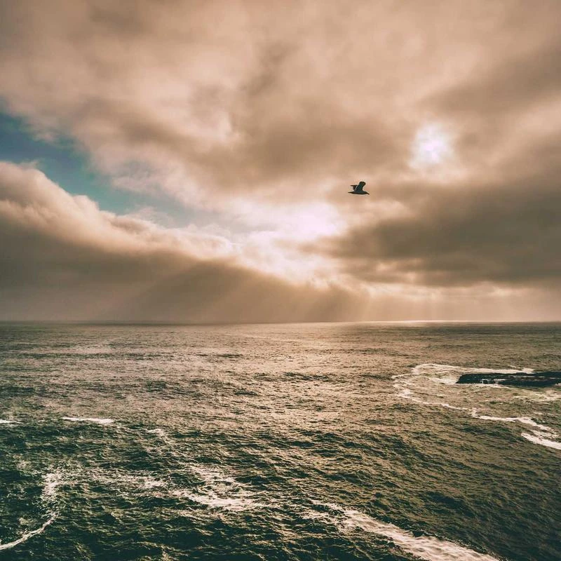 Walnut Age-reducing Thin Knitted Suit Women's Slit Sweater Wide-Leg Pants Autumn and Winter Two-Piece Set (Color : D, Size : L Code)