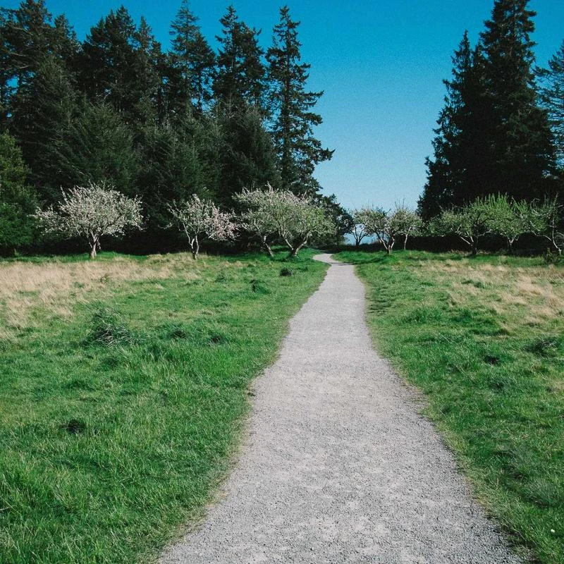 Behrens Watch for Men Original Unique Design Automatic Watch Swiss GPHG 2020 Skeleton Sapphire Steampunk