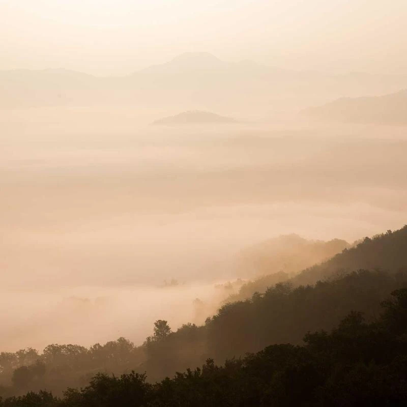 BURBERRY White Ring-Pierced Striped Stretch Jersey Mini Dress, Size Small
