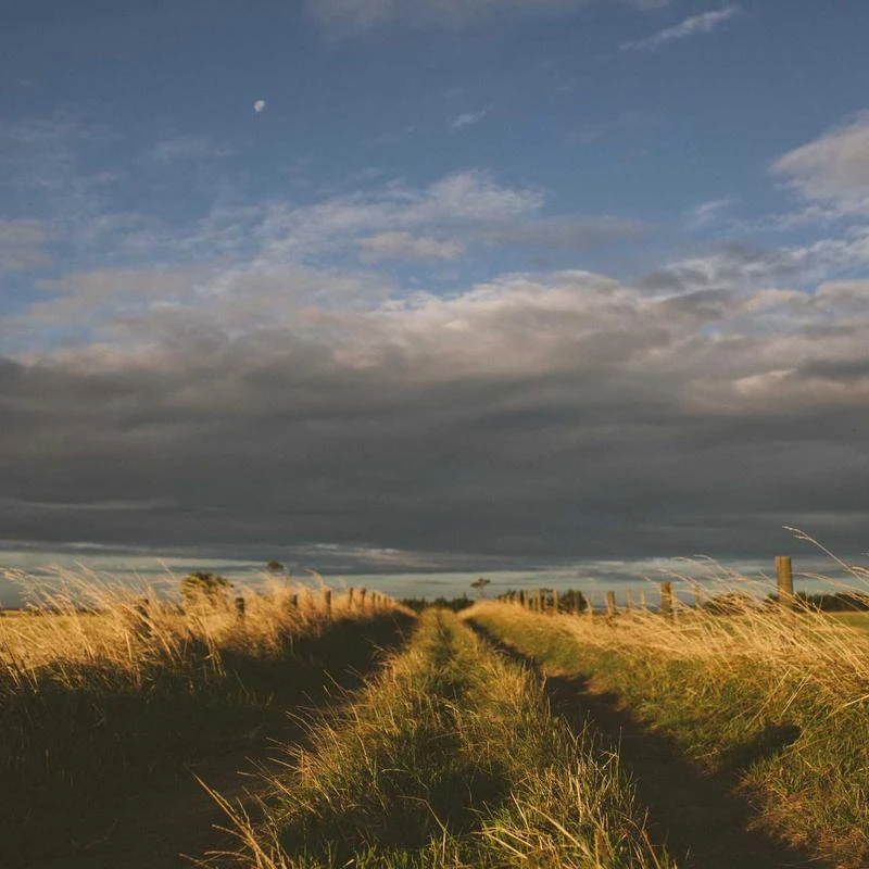 TREXD Antique Imported Leather Three-Person Sofa Recliner Full-Size Sofa Bed Sofa Combination Furniture