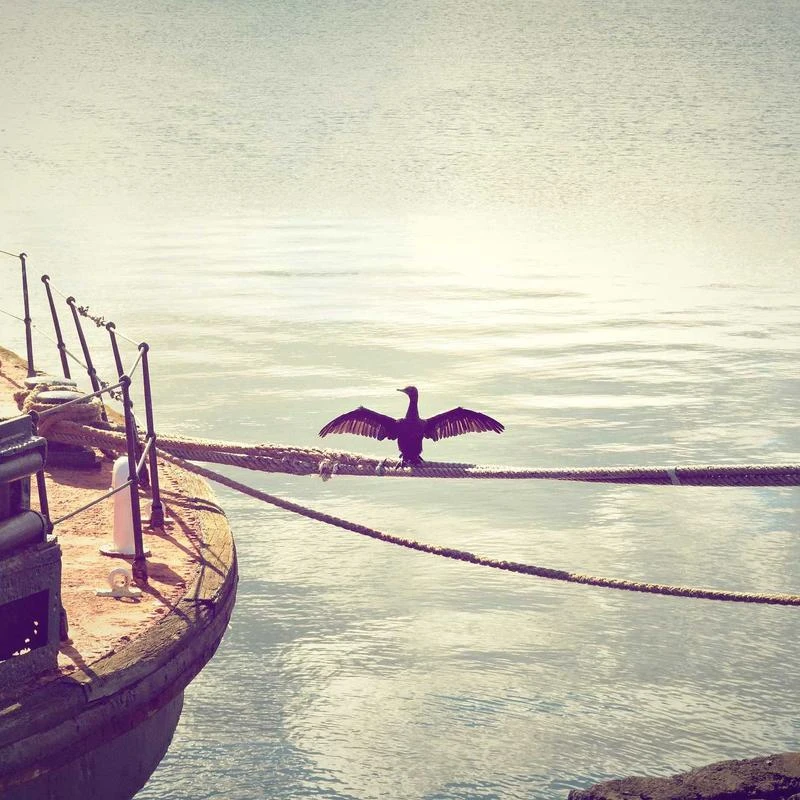 n/a Office Decoration Usage Bronze Metal Horse Statue Custom Antique Jumping Bronze Horse Sculpture Figurines