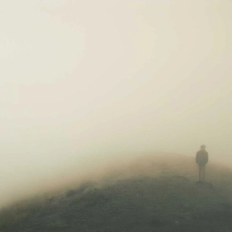 LIUJUN Bronze Lion Head Art Decor Home Decoration Antique Hot Casting Bronze Metal Lion Head Statue Sculpture Art