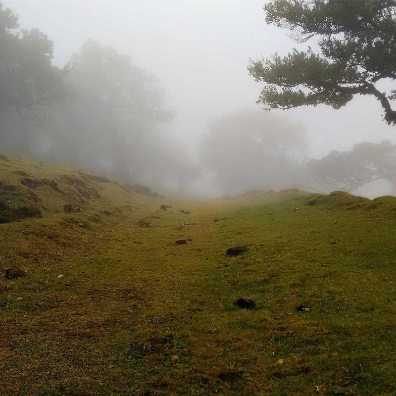 Omega Constellation Co-Axial 38mm 123.20.38.21.02.005 18K Yellow Gold and Stainless Steel Men's Watch
