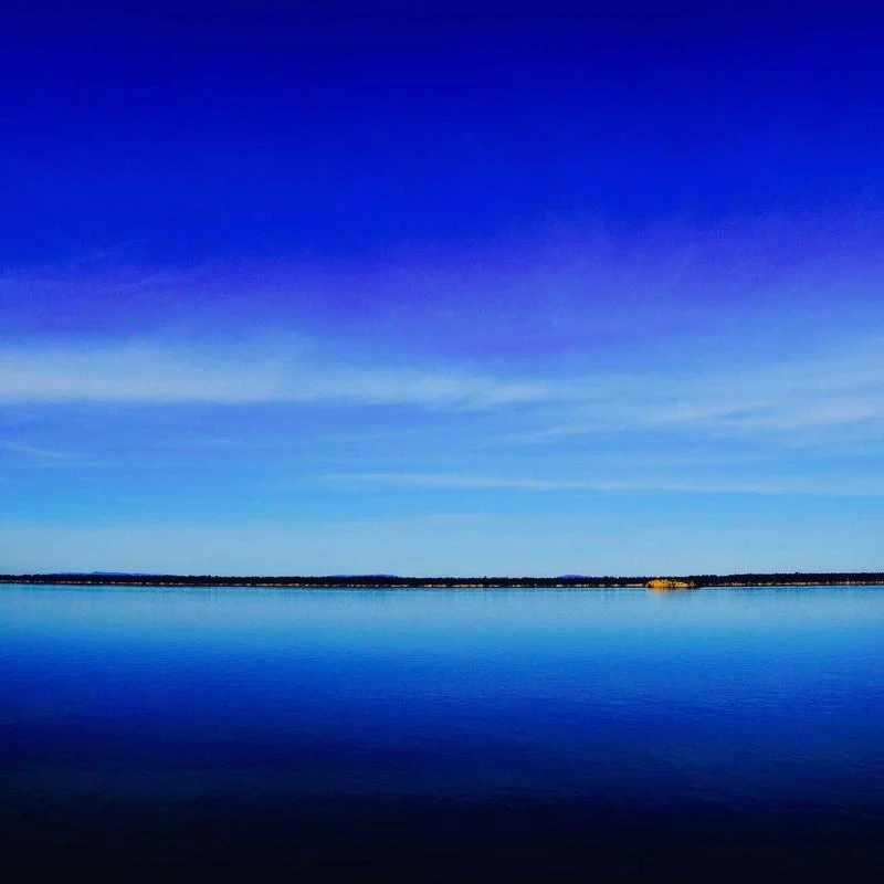 MELASA Safety Goggles ANSI Z87.1, Anti-Fog Protective Lab Goggles, Eye Protection Goggles