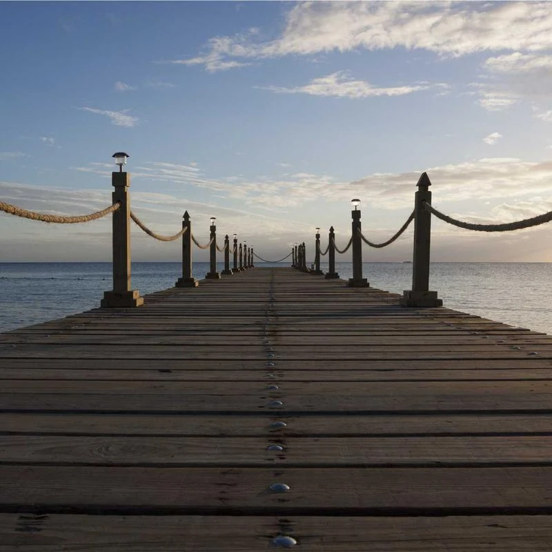 CARTIER New Calibre WSCA0006 Black Rubber Automatic Box/Paper/2YrWarranty #CA62