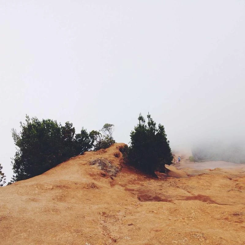 Rado Women's Integral R20212103 23mm Quartz Watch