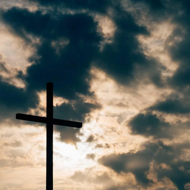 Tissot unisex-adult Vintage Steel And 18K Gold Dress Watch Brown T9204177603100