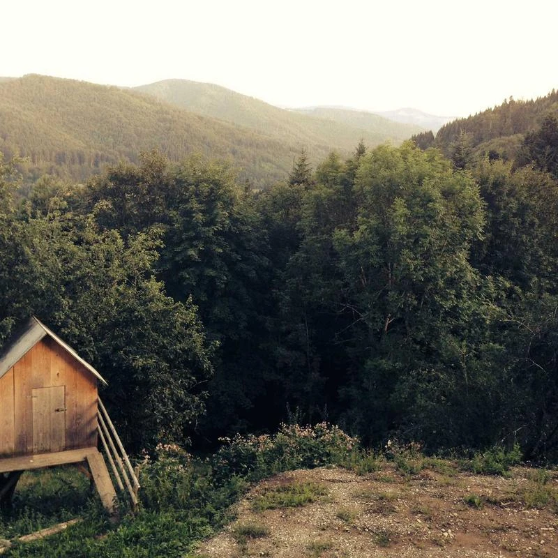 Omega Seamaster Planet Ocean 215.63.46.51.01.001