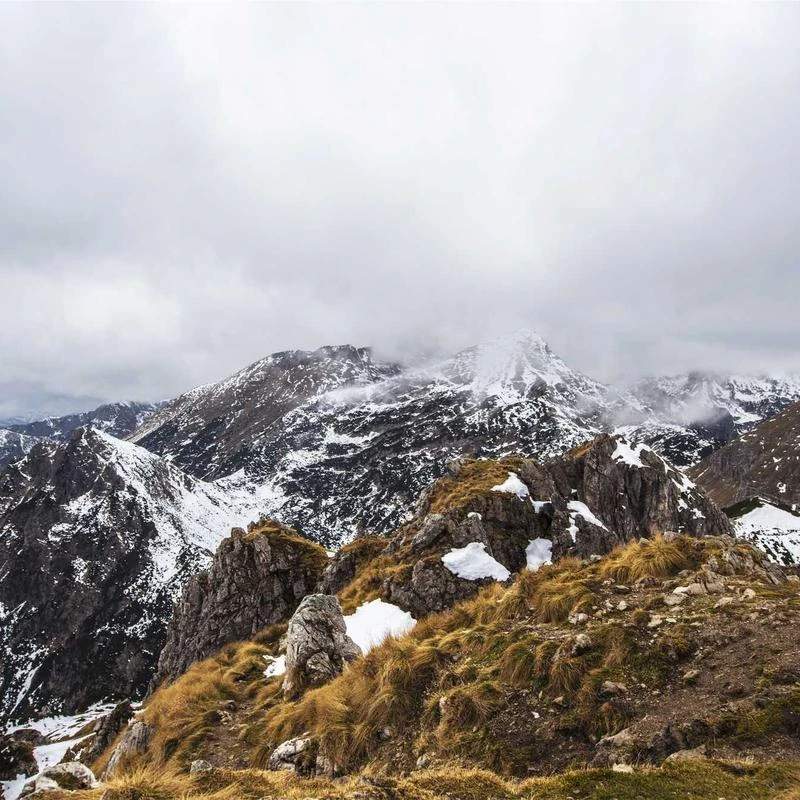 Longines orologio uomo HydroConquest verde 41mm automatico acciaio L3.781.4.06.6