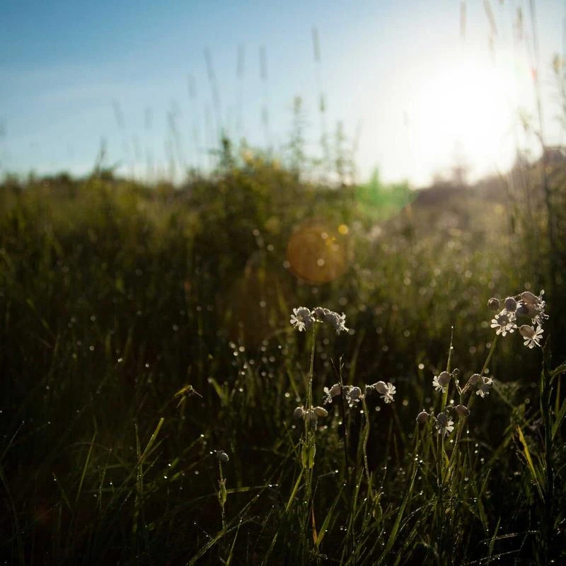 Montana West Hobo Bag for Women Handbags Crossbody Vegan Leather Purse Ladies Chic Shoulder Bag